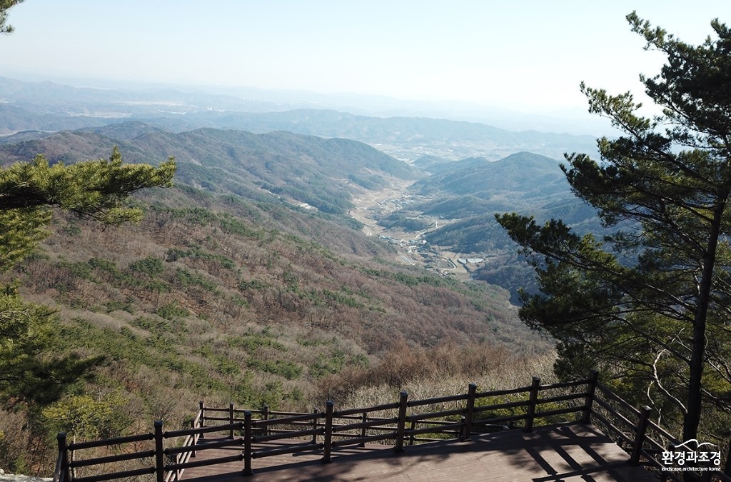 경북도 숲 보도.jpg
