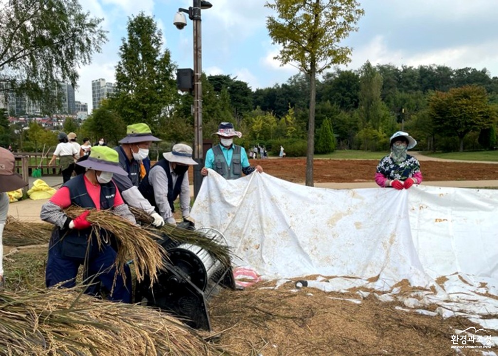 주민들이 전통방식을 이용해 탈곡작업을 하는 모습 (사진=서울시 제공).jpg