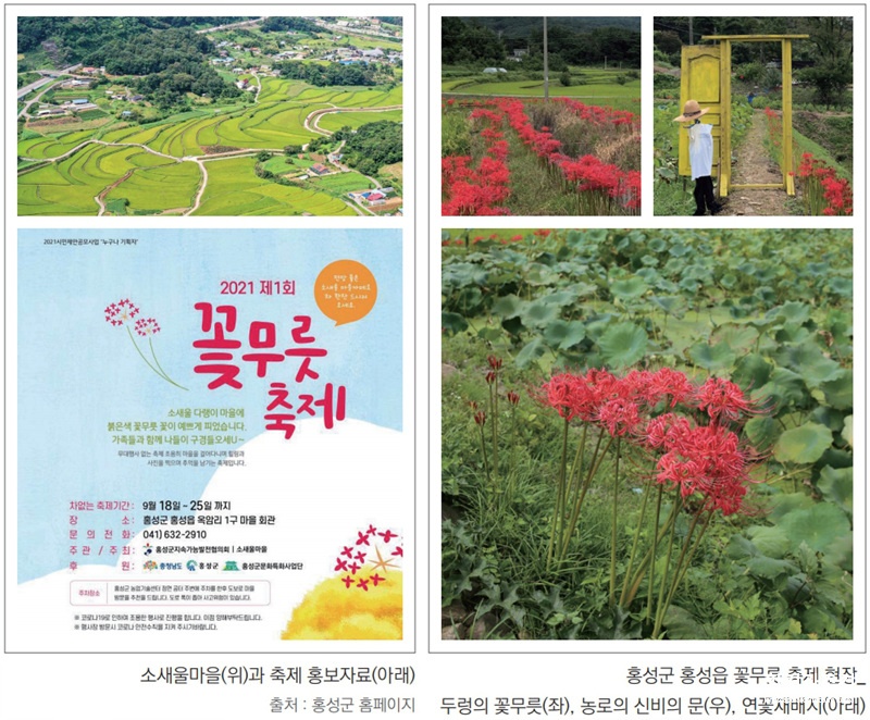 홍성 소새울마을 꽃무릇축제 포스터 및 현장사진.jpg