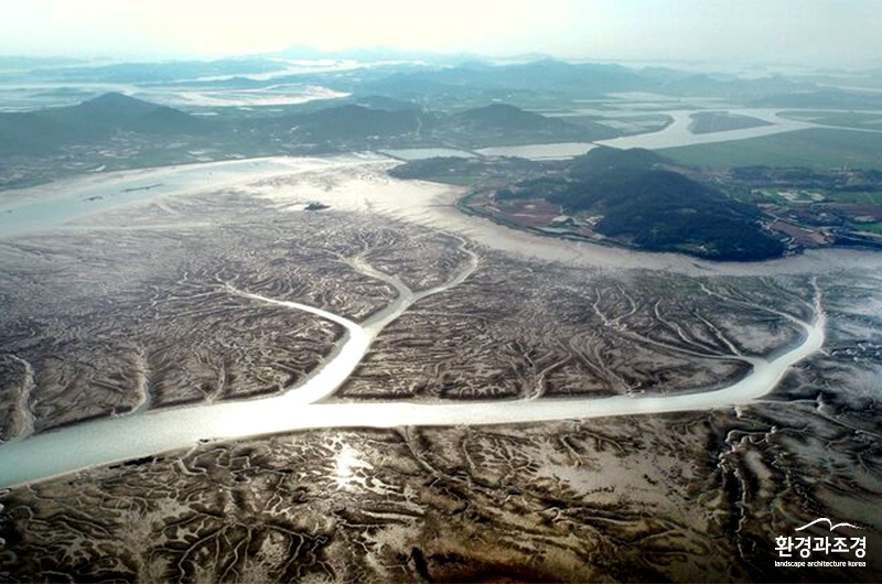 한국의 갯벌 유네스코 세계자연유산 2단계에 등재한 무안갯벌.jpg