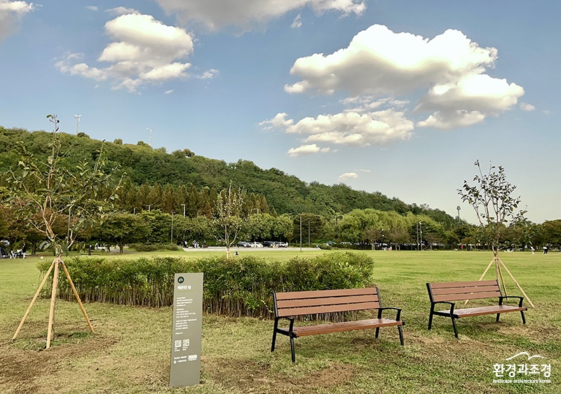 난지한강공원 세븐틴숲.jpg